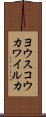 ヨウスコウカワイルカ Scroll