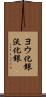ヨウ化銀 Scroll