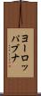 ヨーロッパブナ Scroll