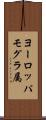 ヨーロッパモグラ属 Scroll