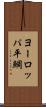 ヨーロッパ平鯛 Scroll