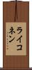 ライコネン Scroll