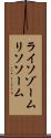 ライソゾーム Scroll