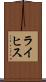 ライヒス Scroll