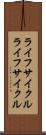 ライフサイクル Scroll