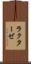 ラクターゼ Scroll