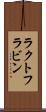 ラクトフラビン Scroll