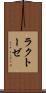 ラクトーゼ Scroll