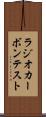 ラジオカーボン・テスト Scroll
