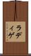 ラディゲ Scroll