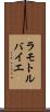 ラモトルバイエ Scroll