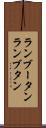 ランブータン Scroll