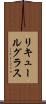 リキュールグラス Scroll