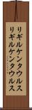 リギルケンタウルス Scroll