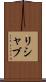 Rishabh Scroll