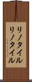 リノタイル Scroll