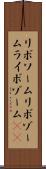 リボソーム Scroll