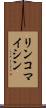 リンコマイシン Scroll