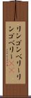 リンゴンベリー Scroll