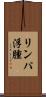 リンパ浮腫 Scroll
