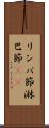 リンパ節 Scroll
