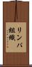 リンパ組織 Scroll