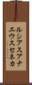 ルシアスアナエウスセネカ Scroll