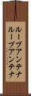 ループアンテナ Scroll