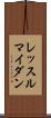 レッスルマイダン Scroll