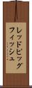 レッドピッグフィッシュ Scroll