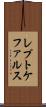 レプトケファルス Scroll