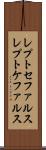 レプトセファルス Scroll