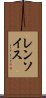 レンソイス Scroll