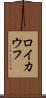 ロイカウフ Scroll