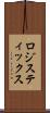 ロジスティックス Scroll