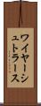 ワイヤーシュトラース Scroll
