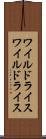 ワイルドライス Scroll