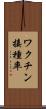 ワクチン接種率 Scroll