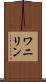 ワニリン Scroll