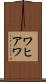 ワヒアワ Scroll