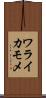 ワライカモメ Scroll