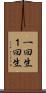 一回生 Scroll