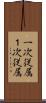 一次従属 Scroll