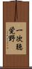 一次聴覚野 Scroll