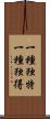一種独特 Scroll