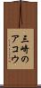三崎のアコウ Scroll