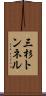 三杉トンネル Scroll