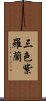 三色紫羅蘭 Scroll