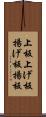 上板 Scroll
