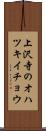 上沢寺のオハツキイチョウ Scroll